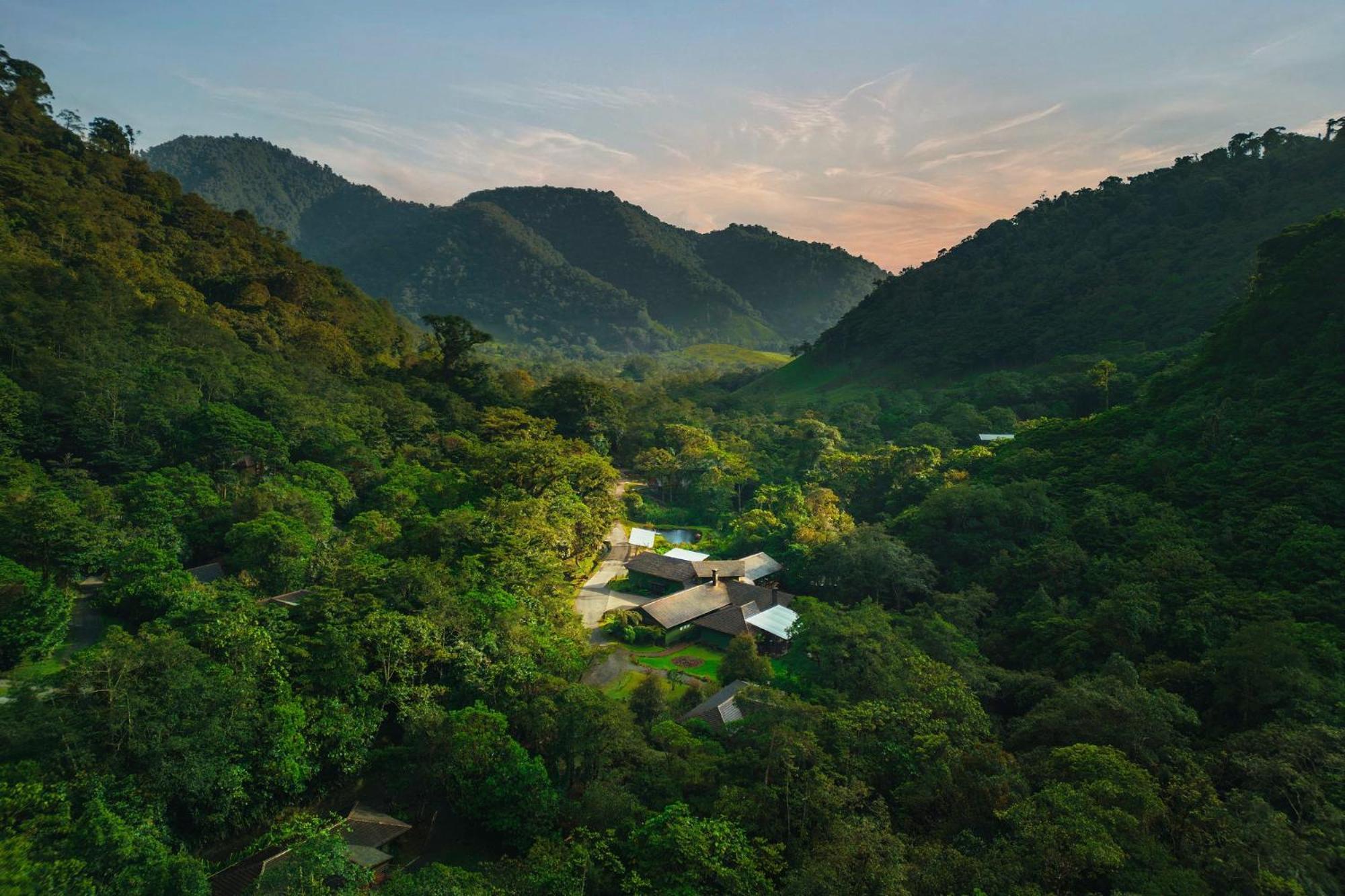 El Silencio Lodge & Spa Costa Rica Toro Amarillo Dış mekan fotoğraf