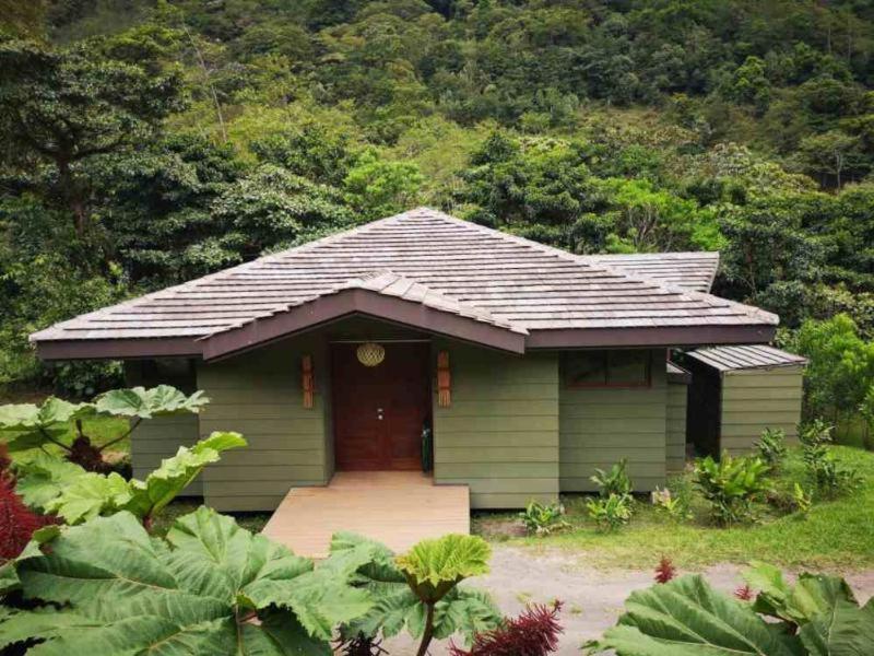 El Silencio Lodge & Spa Costa Rica Toro Amarillo Oda fotoğraf
